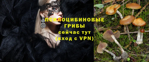 ешки Няндома
