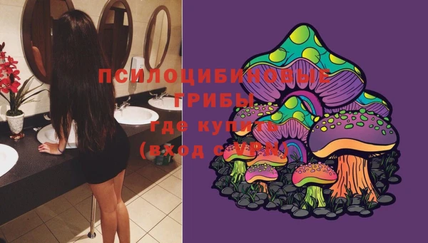 ешки Няндома
