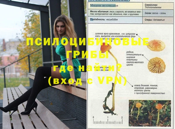 ешки Няндома