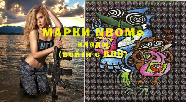 ешки Няндома